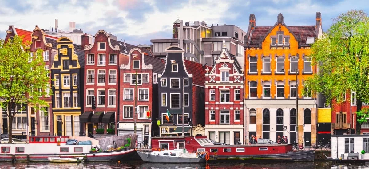 Immigrate to Netherlands from Japan